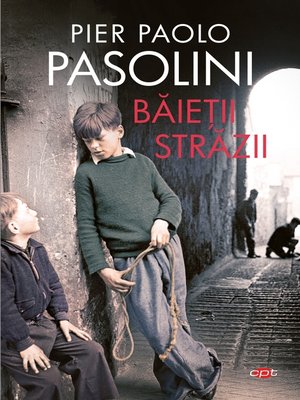 cover image of Baieții Străzii